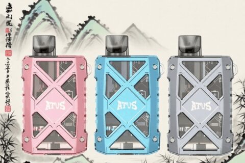 DE012 MAX Einweg E-Zigarette mit wiederaufladbar und einstellbarer Luftstrom ATVS Vape