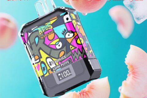 DE013A Einweg E-Zigarette 12000 Zuge mit LED-Anzeige wiederaufladbar und einstellbarer Luftstrom ATVS Vape