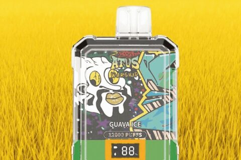 DE013A Einweg E-Zigarette 12000 Zuge mit LED-Anzeige wiederaufladbar und einstellbarer Luftstrom ATVS Vape