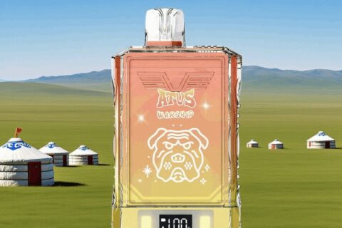 DE015 Einweg E-Zigaretten 18000 Züge mit LED-Anzeige wiederaufladbar und einstellbarer Luftstrom ATVS Vape E-Zigarette