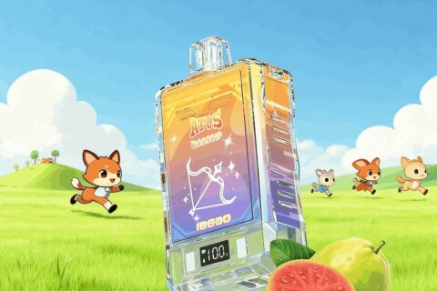 DE015 Einweg E-Zigaretten 18000 Züge mit LED-Anzeige wiederaufladbar und einstellbarer Luftstrom ATVS Vape E-Zigarette