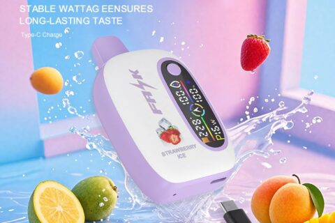 DE016 Einweg E-Zigarette 25000 Züge mit LED-Anzeige wiederaufladbar und einstellbarer Luftstrom ATVS Vape E-Zigaretten