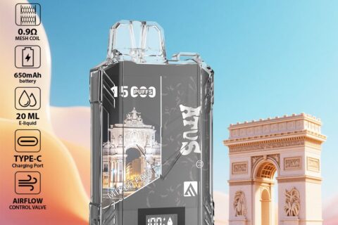 DE017 Einweg E-Zigaretten 15000 Züge mit LED-Anzeige wiederaufladbar und einstellbarer Luftstrom ATVS Vape E-Zigarette