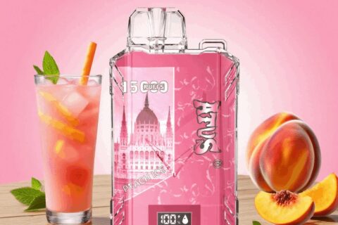 DE017 Einweg E-Zigaretten 15000 Züge mit LED-Anzeige wiederaufladbar und einstellbarer Luftstrom ATVS Vape E-Zigarette