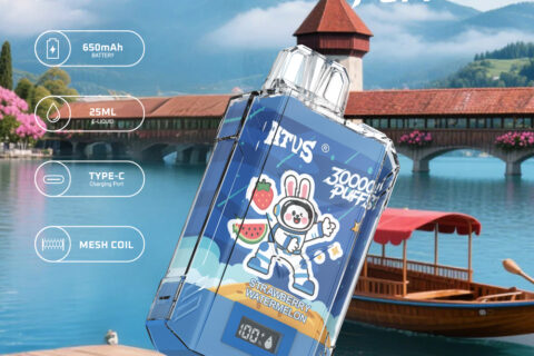 DE017 Einweg E-Zigaretten 30000 Züge mit LED-Anzeige wiederaufladbar und einstellbarer Luftstrom ATVS Vape E-Zigarette