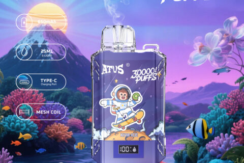 DE017 Einweg E-Zigaretten 30000 Züge mit LED-Anzeige wiederaufladbar und einstellbarer Luftstrom ATVS Vape E-Zigarette