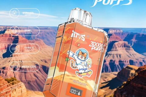 DE017 Einweg E-Zigaretten 30000 Züge mit LED-Anzeige wiederaufladbar und einstellbarer Luftstrom ATVS Vape E-Zigarette