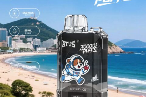 DE017 Einweg E-Zigaretten 30000 Züge mit LED-Anzeige wiederaufladbar und einstellbarer Luftstrom ATVS Vape E-Zigarette