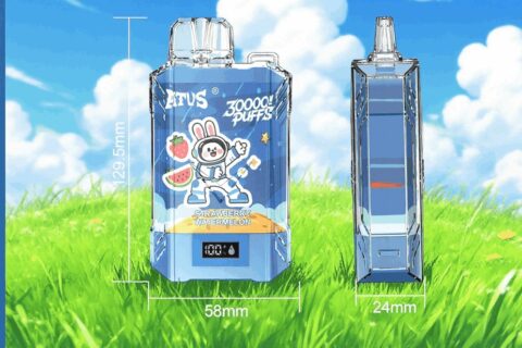 DE017 Einweg E-Zigaretten 30000 Züge mit LED-Anzeige wiederaufladbar und einstellbarer Luftstrom ATVS Vape E-Zigarette