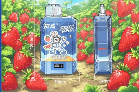 DE017 Einweg E-Zigaretten 30000 Züge mit LED-Anzeige wiederaufladbar und einstellbarer Luftstrom ATVS Vape E-Zigarette