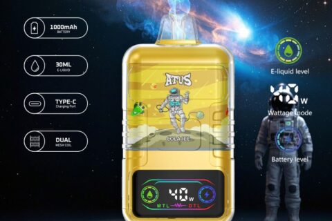 DE021 Einweg E-Zigarette 30000 Züge mit LED-Anzeige wiederaufladbar und einstellbarer Luftstrom MTL DTL ATVS