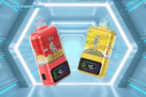 DE021 Einweg E-Zigarette 30000 Züge mit LED-Anzeige wiederaufladbar und einstellbarer Luftstrom MTL DTL ATVS