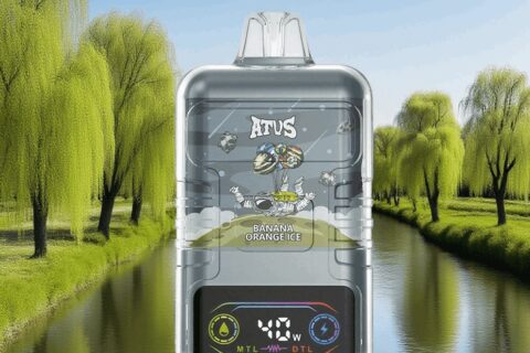 DE021 Einweg E-Zigarette 30000 Züge mit LED-Anzeige wiederaufladbar und einstellbarer Luftstrom MTL DTL ATVS