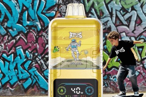 DE021 Einweg E-Zigarette 30000 Züge mit LED-Anzeige wiederaufladbar und einstellbarer Luftstrom MTL DTL ATVS