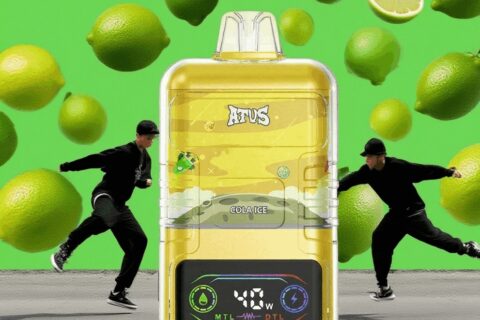 DE021 Einweg E-Zigarette 30000 Züge mit LED-Anzeige wiederaufladbar und einstellbarer Luftstrom MTL DTL ATVS