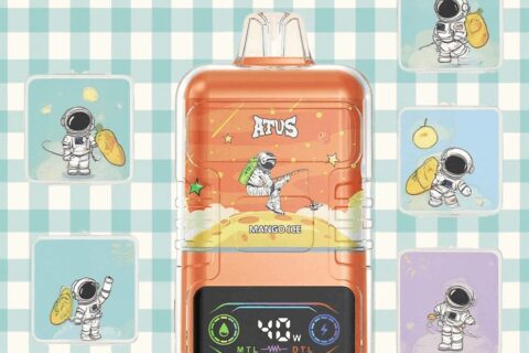 DE021 Einweg E-Zigarette 30000 Züge mit LED-Anzeige wiederaufladbar und einstellbarer Luftstrom MTL DTL ATVS