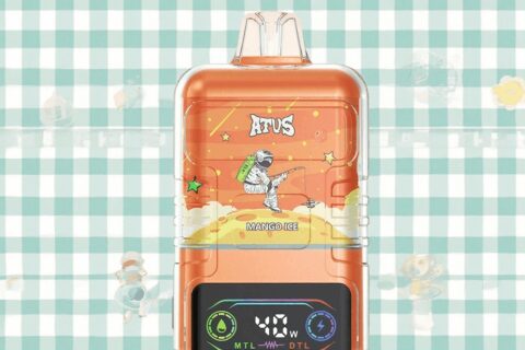 DE021 Einweg E-Zigarette 30000 Züge mit LED-Anzeige wiederaufladbar und einstellbarer Luftstrom MTL DTL ATVS