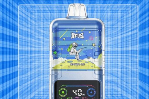 DE021 Einweg E-Zigarette 30000 Züge mit LED-Anzeige wiederaufladbar und einstellbarer Luftstrom MTL DTL ATVS