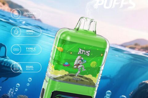 DE021 Einweg E-Zigarette 30000 Züge mit LED-Anzeige wiederaufladbar und einstellbarer Luftstrom MTL DTL ATVS