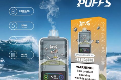 DE021 Einweg E-Zigarette 30000 Züge mit LED-Anzeige wiederaufladbar und einstellbarer Luftstrom MTL DTL ATVS