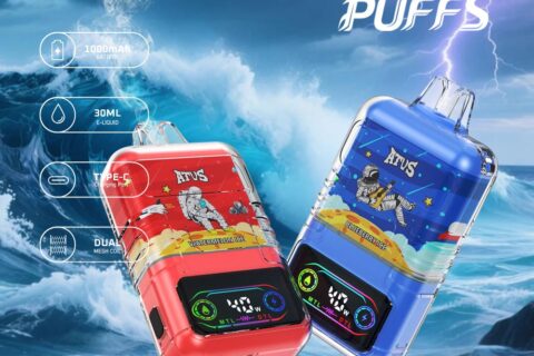 DE021 Einweg E-Zigarette 30000 Züge mit LED-Anzeige wiederaufladbar und einstellbarer Luftstrom MTL DTL ATVS