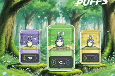 DE021 Einweg E-Zigarette 30000 Züge mit LED-Anzeige wiederaufladbar und einstellbarer Luftstrom MTL DTL ATVS