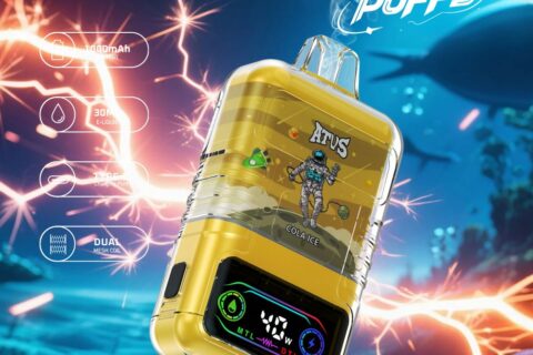 DE021 Einweg E-Zigarette 30000 Züge mit LED-Anzeige wiederaufladbar und einstellbarer Luftstrom MTL DTL ATVS