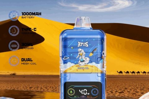 DE021 Einweg E-Zigarette 30000 Züge mit LED-Anzeige wiederaufladbar und einstellbarer Luftstrom MTL DTL ATVS