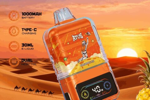 DE021 Einweg E-Zigarette 30000 Züge mit LED-Anzeige wiederaufladbar und einstellbarer Luftstrom MTL DTL ATVS