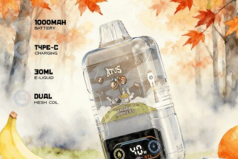 DE021 Einweg E-Zigarette 30000 Züge mit LED-Anzeige wiederaufladbar und einstellbarer Luftstrom MTL DTL ATVS