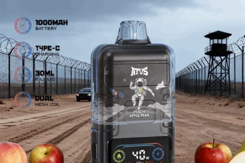 DE021 Einweg E-Zigarette 30000 Züge mit LED-Anzeige wiederaufladbar und einstellbarer Luftstrom MTL DTL ATVS