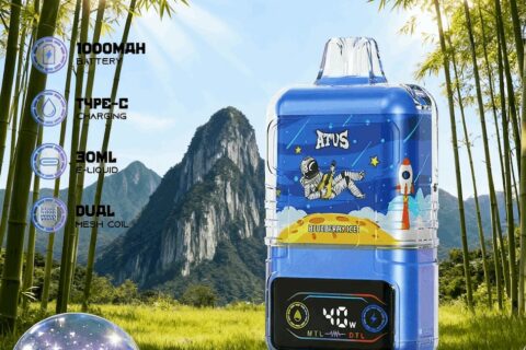 DE021 Einweg E-Zigarette 30000 Züge mit LED-Anzeige wiederaufladbar und einstellbarer Luftstrom MTL DTL ATVS