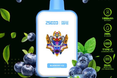 DE022 Einweg E-Zigarette 25000 Züge mit Vollbildschirm wiederaufladbar und einstellbarer Luftstrom ATVS Vape E-Zigaretten