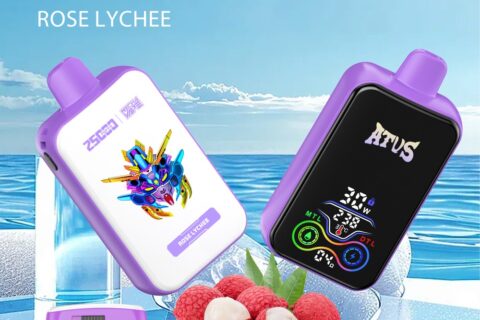 DE022 Einweg E-Zigarette 25000 Züge mit Vollbildschirm wiederaufladbar und einstellbarer Luftstrom ATVS Vape E-Zigaretten