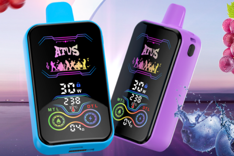 DE022 Einweg E-Zigarette 25000 Züge mit Vollbildschirm wiederaufladbar und einstellbarer Luftstrom ATVS Vape E-Zigaretten