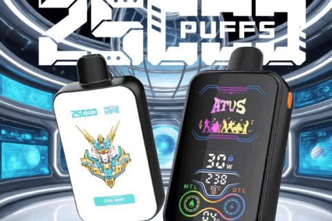 DE022 Einweg E-Zigarette 25000 Züge mit Vollbildschirm wiederaufladbar und einstellbarer Luftstrom ATVS Vape E-Zigaretten