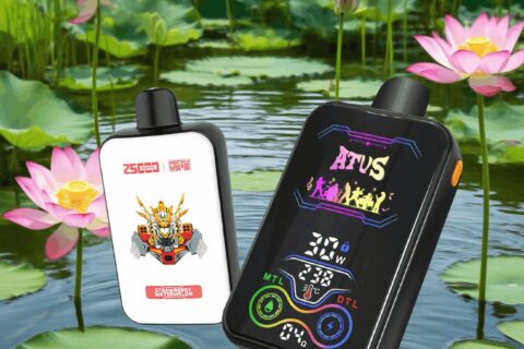 DE022 Einweg E-Zigarette 25000 Züge mit Vollbildschirm wiederaufladbar und einstellbarer Luftstrom ATVS Vape E-Zigaretten