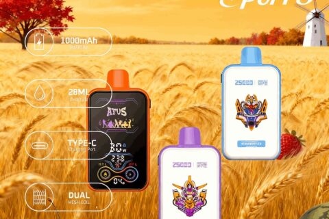 DE022 Einweg E-Zigarette 25000 Züge mit Vollbildschirm wiederaufladbar und einstellbarer Luftstrom ATVS Vape E-Zigaretten