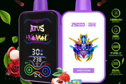 DE022 Einweg E-Zigarette 25000 Züge mit Vollbildschirm wiederaufladbar und einstellbarer Luftstrom ATVS Vape E-Zigaretten