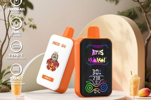 DE022 Einweg E-Zigarette 25000 Züge mit Vollbildschirm wiederaufladbar und einstellbarer Luftstrom ATVS Vape E-Zigaretten