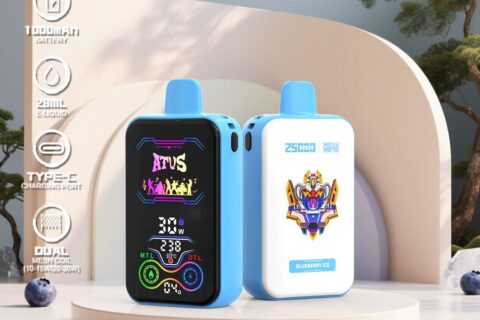 DE022 Einweg E-Zigarette 25000 Züge mit Vollbildschirm wiederaufladbar und einstellbarer Luftstrom ATVS Vape E-Zigaretten