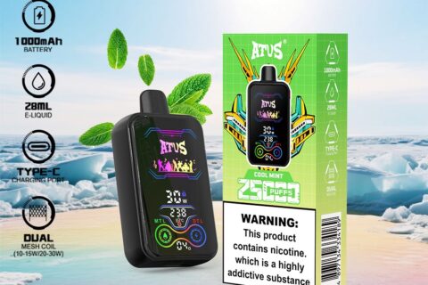 DE022 Einweg E-Zigarette 25000 Züge mit Vollbildschirm wiederaufladbar und einstellbarer Luftstrom ATVS Vape E-Zigaretten