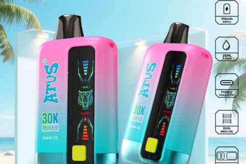 DE026 30000 Puffs Einweg Vape mit LED Display und regulierbarem Luftstrom