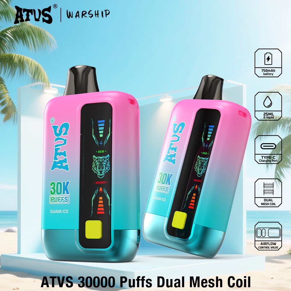 DE026 30000 Puffs Einweg Vape mit LED Display und regulierbarem Luftstrom