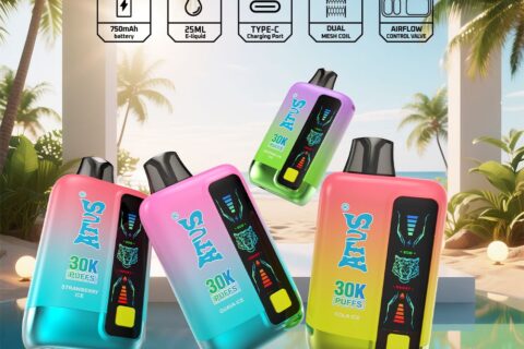 DE026 30000 Puffs Einweg Vape mit LED Display und regulierbarem Luftstrom ATVS Vape