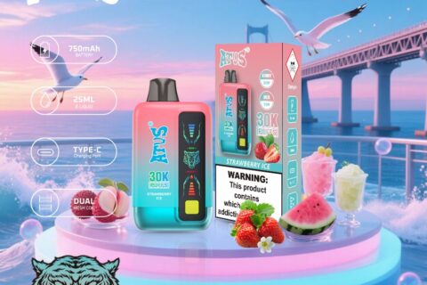 DE026 30000 Puffs Einweg Vape mit LED Display und regulierbarem Luftstrom ATVS Vape