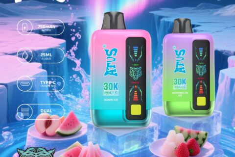 DE026 30000 Puffs Einweg Vape mit LED Display und regulierbarem Luftstrom ATVS Vape