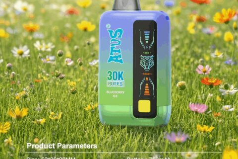 DE026 30000 Puffs Einweg Vape mit LED Display und regulierbarem Luftstrom ATVS Vape