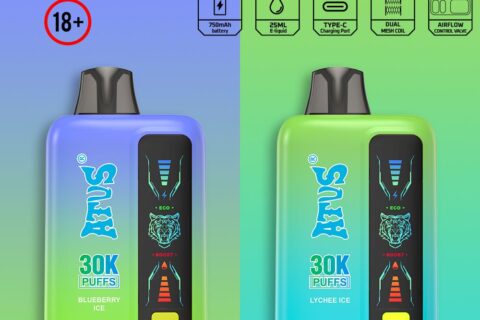 DE026 30000 Puffs Einweg Vape mit LED Display und regulierbarem Luftstrom ATVS Vape