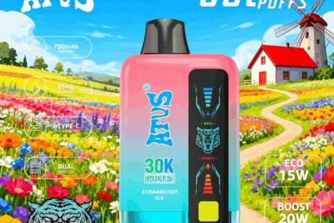 DE026 30000 Puffs Einweg Vape mit LED Display und regulierbarem Luftstrom ATVS Vape
